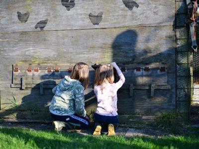 Thumbnail 4 van BoerenBed De Zeekraal