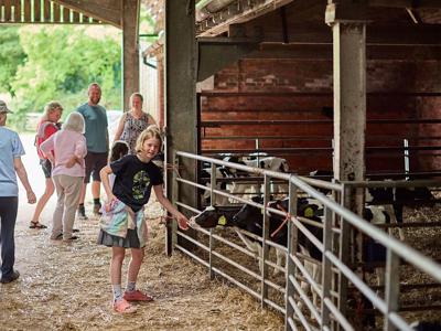 Thumbnail 5 van BoerenBed Billingsmoor Farm