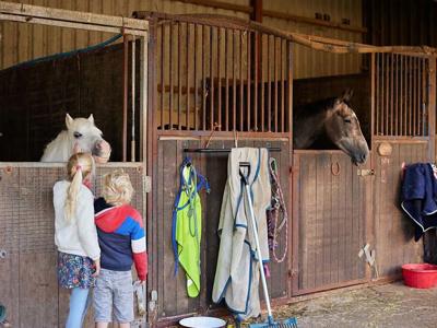 Thumbnail 4 van BoerenBed Mount Pleasant Farm