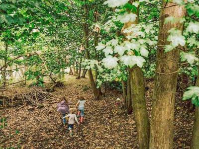 Thumbnail 5 van BoerenBed Lunsford Farm