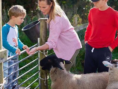 Thumbnail 2 van BoerenBed College Farm