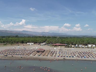Safari Beach