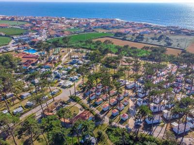 Thumbnail 5 van Orbitur Angeiras