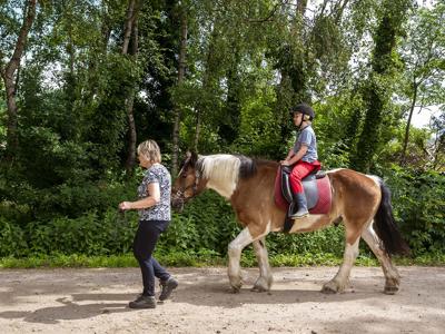Thumbnail 2 van Den Branderhorst Farmcamps