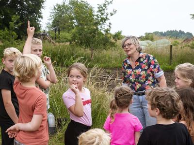 Thumbnail 3 van Den Branderhorst Farmcamps