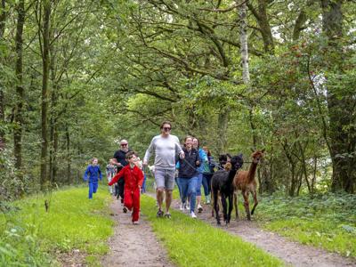 Thumbnail 4 van De Bosrand Farmcamps