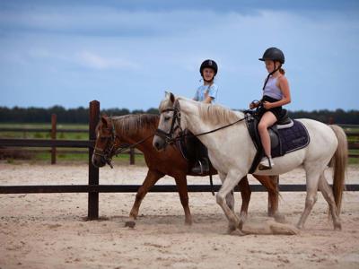 Thumbnail 5 van De Bosrand Farmcamps