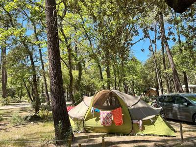 Thumbnail 4 van La Simioune