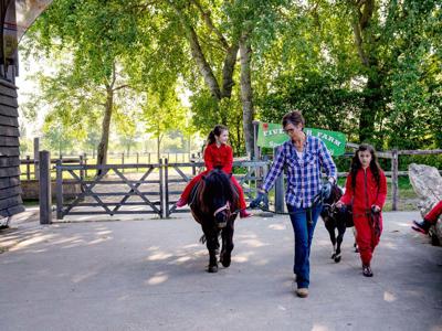 Thumbnail 3 van Five Star Farmcamps