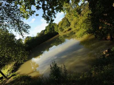 Thumbnail 4 van Kimaro Farmhouse