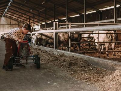 Thumbnail 2 van BoerenBed De Brabantse Hei