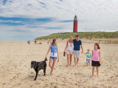 Thumbnail 5 van Landal Beach Park Texel