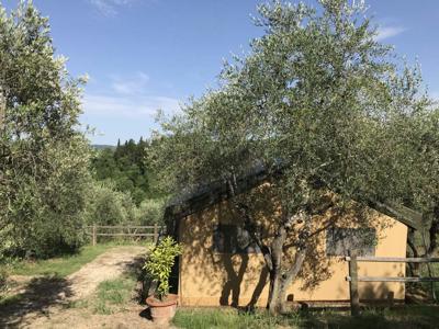 Thumbnail 4 van Agricamping Romita