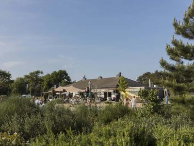 Thumbnail 5 van Duynhille