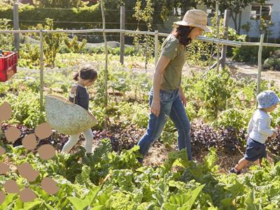 Thumbnail 5 van Domaine de la Velle