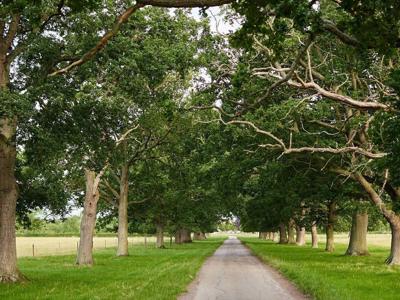 Thumbnail 4 van BoerenBed Moor Farm