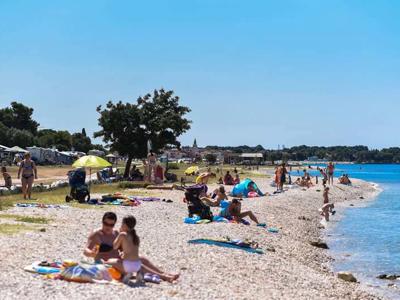 Thumbnail 4 van Pineta (Fazana)