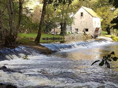 Thumbnail 2 van Du Moulin de Piot