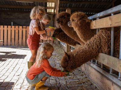 Thumbnail 2 van De Smulhoeve FarmCamps