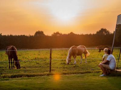 Thumbnail 4 van De Smulhoeve FarmCamps