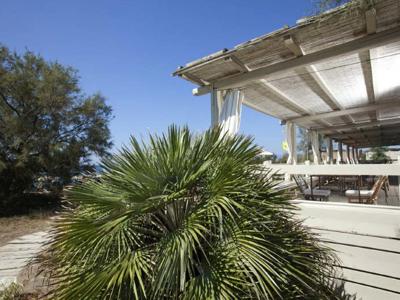 Thumbnail 4 van Capalbio