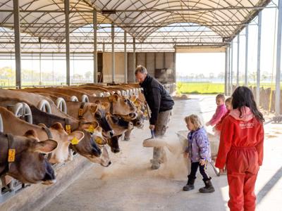 Thumbnail 4 van BoeBaDoe Farmcamps