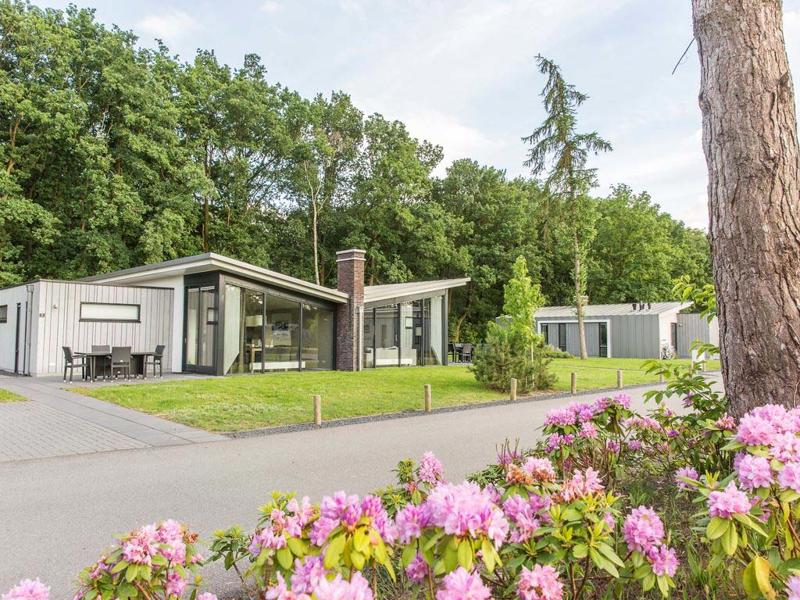 Hoofdfoto van Landal Amerongse Berg