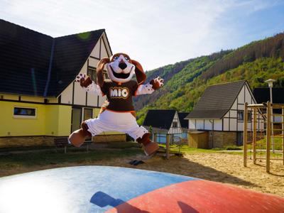 Thumbnail 2 van Dormio Resort Eifeler Tor