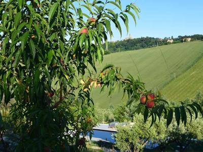 Thumbnail 3 van Tenuta Coste da Sole