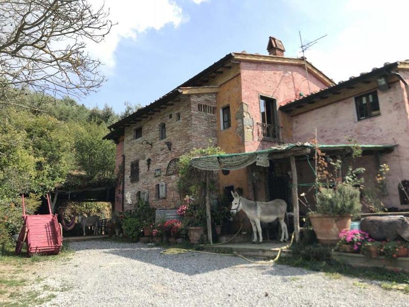 Foto van Gli Asini Felici