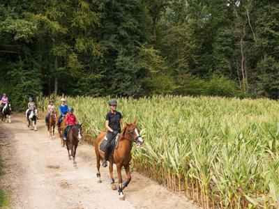 Thumbnail 3 van De Verloren Kost Farmcamps