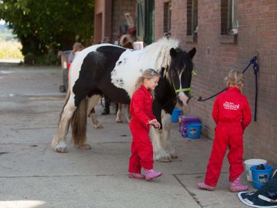 Thumbnail 5 van De Verloren Kost Farmcamps