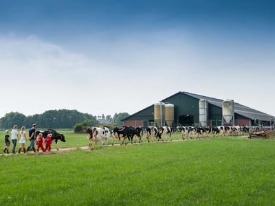 Thumbnail 4 van Op Flakkee Farmcamps