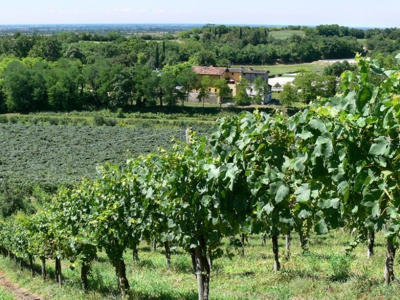 Thumbnail 2 van Agriturismo Le Sorgive e Le Volpi