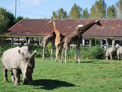 Thumbnail 2 van Cerza Safari Lodge