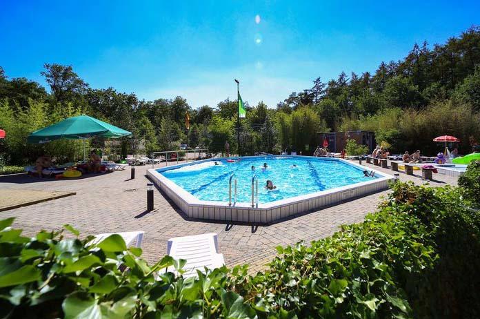 Foto van Bonte Vlucht