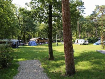 Thumbnail 4 van Bonte Vlucht