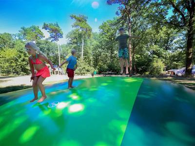 Thumbnail 5 van Bonte Vlucht