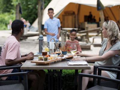 Thumbnail 5 van Landal Twenhaarsveld