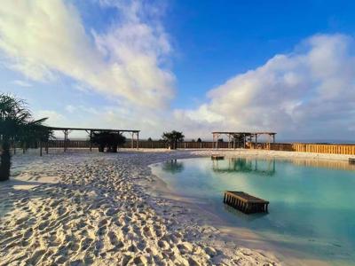 Thumbnail 5 van Le Séquoia