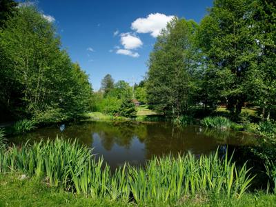 Thumbnail 4 van Knaus campingpark Viechtach