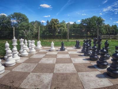 Thumbnail 5 van Prima