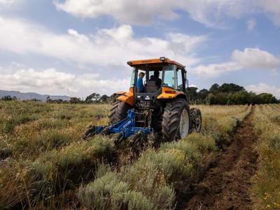 Thumbnail 2 van BoerenBed Figari