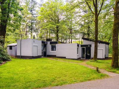 Thumbnail 4 van Summio Parc De Berkenhorst