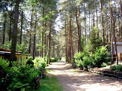 Thumbnail 2 van Siesta