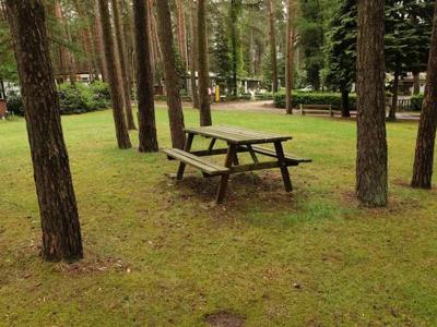 Thumbnail 3 van Siesta