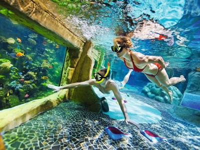 Thumbnail 2 van Center Parcs De Kempervennen