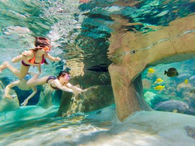 Thumbnail 3 van Center Parcs De Vossemeren