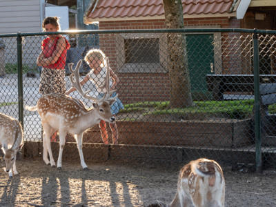 Thumbnail 4 van De Krabbeplaat