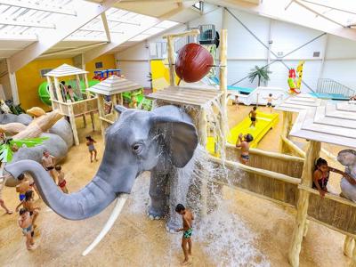 Thumbnail 5 van Le P'tit Bois